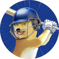 Indian Premier League Fan Token