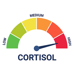 Cortisol Level